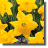 Daffodil